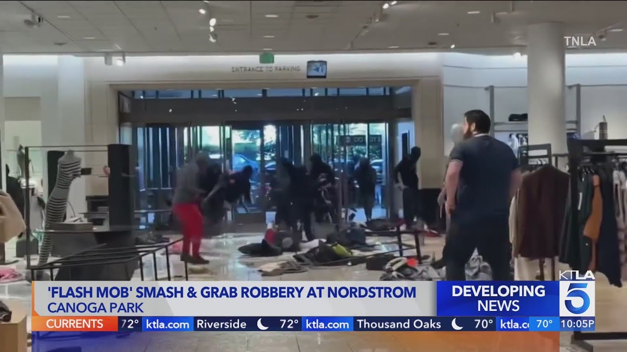 Video captures 'flash mob' of burglars swarming Nordstrom in Southern California mall
