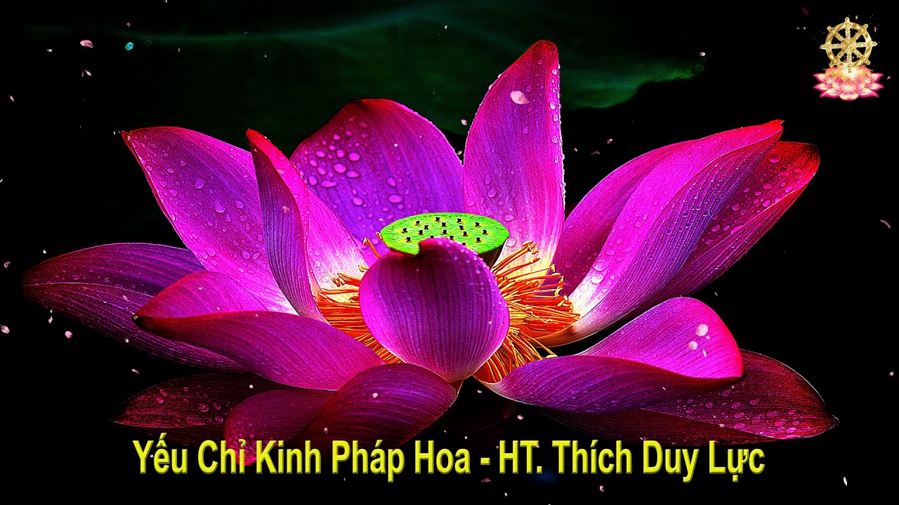 Yếu chỉ Kinh Pháp Hoa - HT. Thích Duy Lực