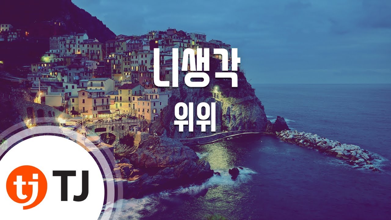 [TJ노래방] 니생각 - 위위(Feat.윌콕스) / TJ Karaoke