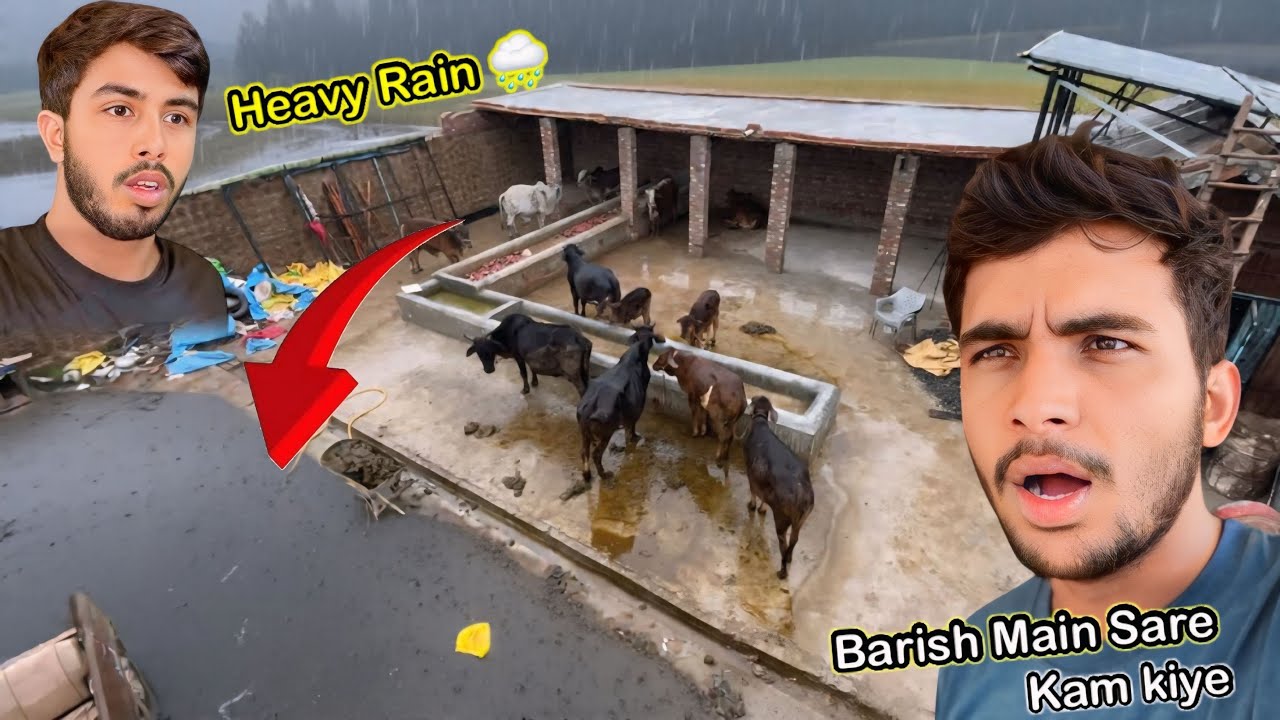 Heavy Rain😱 Aaj Sare Kam Barish Main Kiye | Goat Farming | Zohaib Pendu | Saqlain Pendu 