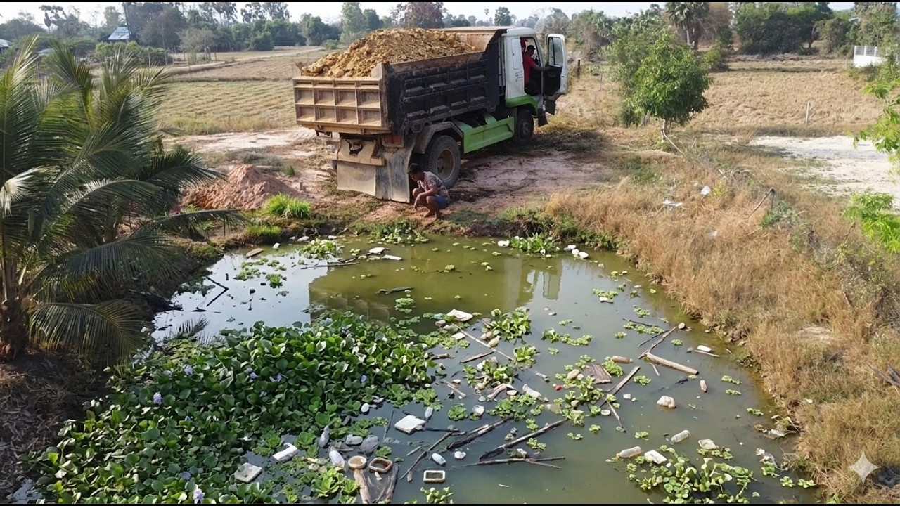 First Start Opening New Project!! Landfill Delete Deep Fish Pond By Skill Dozer D20p & 5ton Truck.