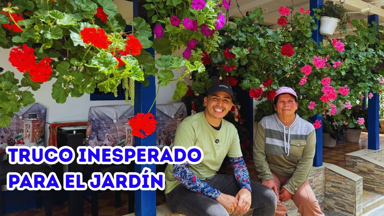 Las vitaminas correctas para tu jardín, NO MÁS ERRORES |AP