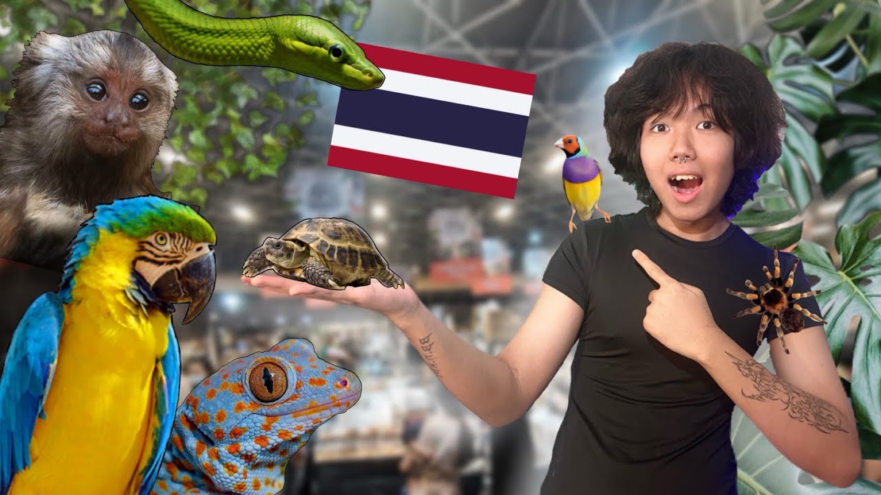 Largest Animal Show in “SOUTHEAST ASIA” (So many INSANE Animals🐆)