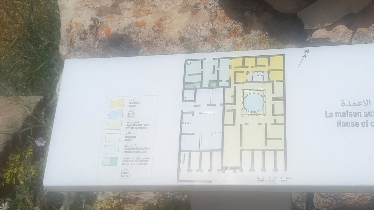 بث مباشر