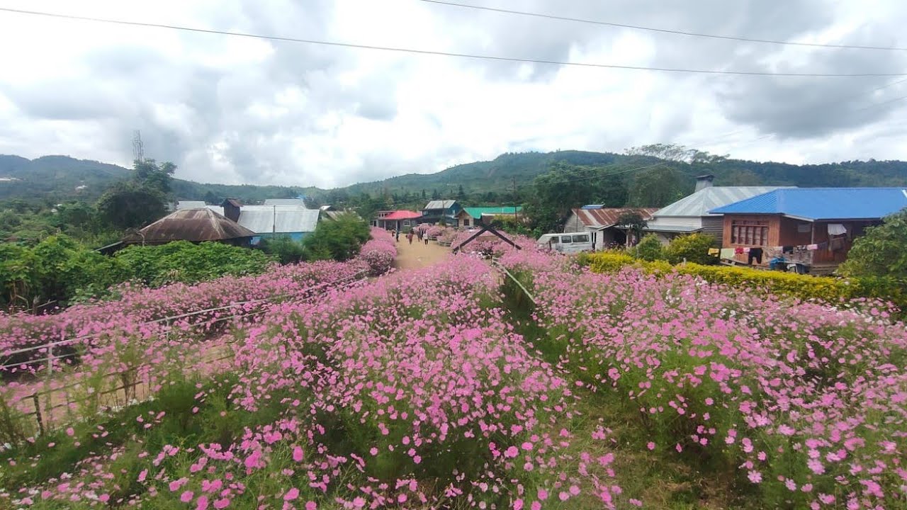 Cosmos road# Paorei village