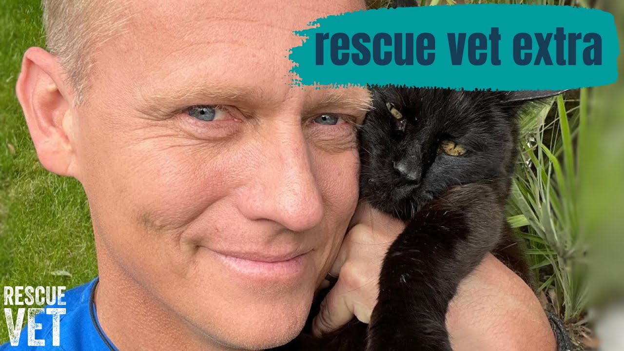 Heartbreaking goodbye to my Portuguese street cat | Ricketts&rsquo; Story | Storytime with Dr Scott