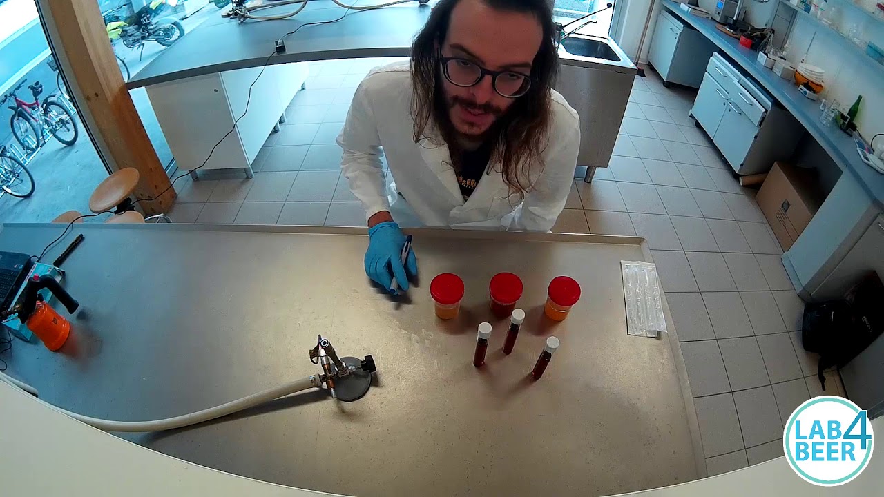 wild yeast Broth - TUBES