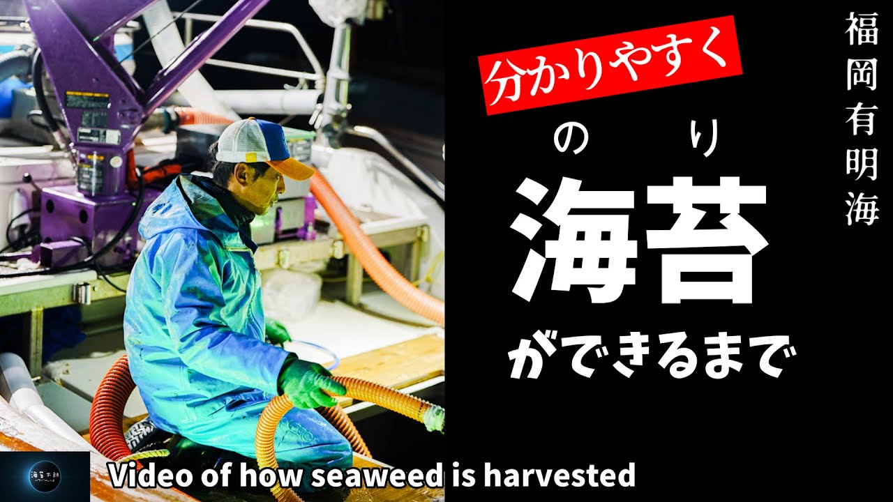【有明海】分かりやすく海苔ができるまで 　Video of how seaweed is harvested