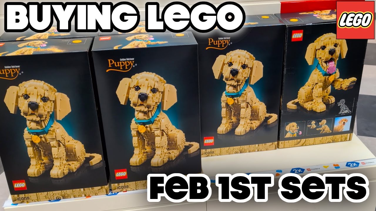 BUYING LEGO + FEB 1st LEGO RELEASES & MORE!