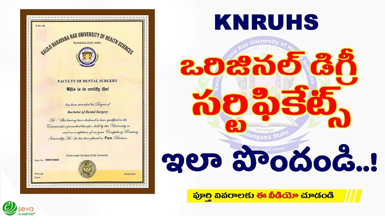 How to apply for Original Degree Certificate || KNRUHS