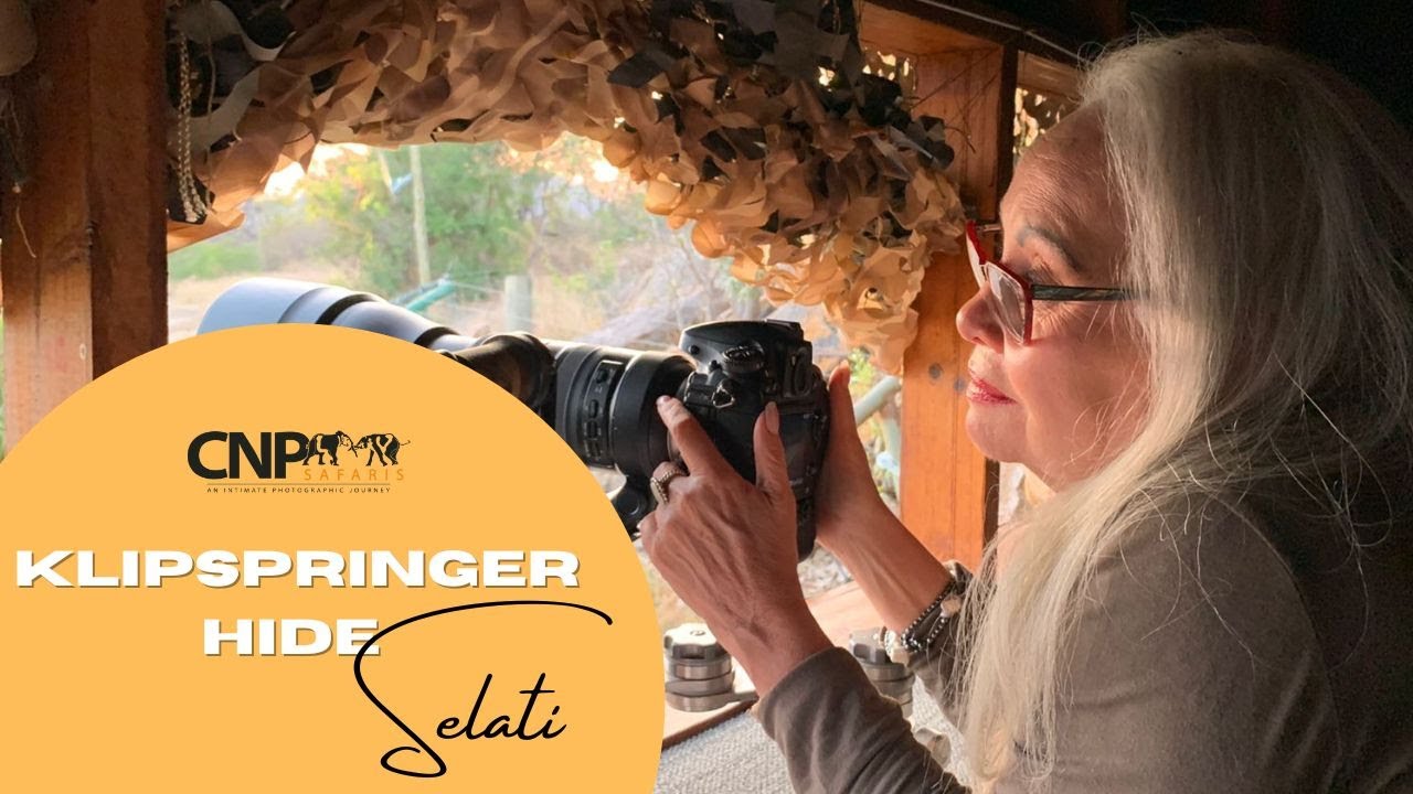 Photographic Safari September 2022 at Klipspringer Lodge, Selati Game Reserve.