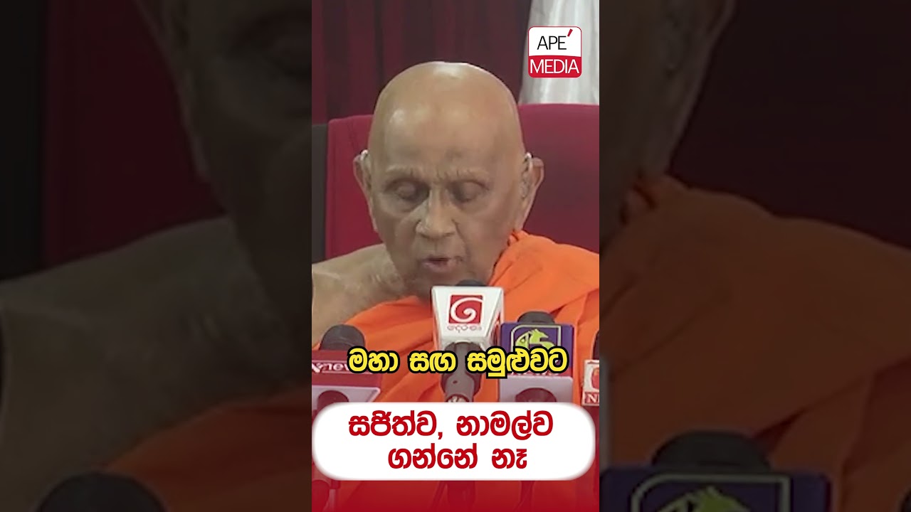 #apemedia  #namalrajapaksa  #sajithpremadasa