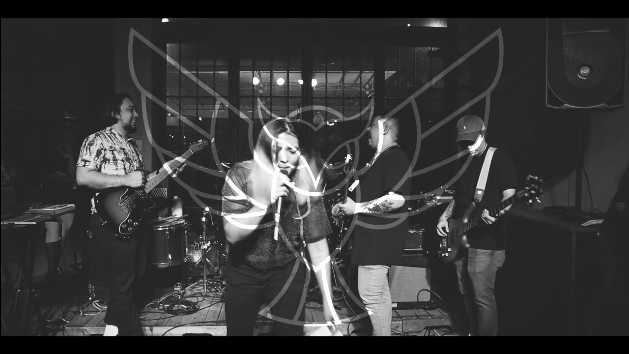 Eleyn - Playright Live