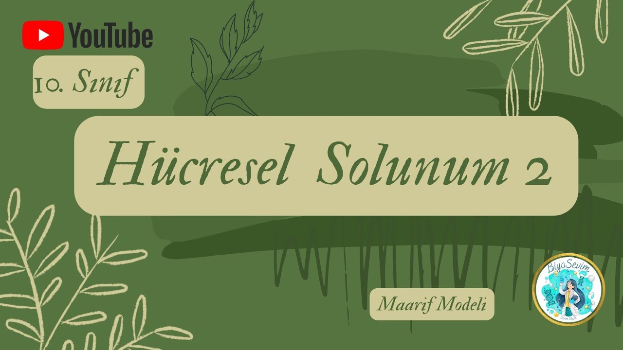 13) 10. SINIF BİYOLOJİ  - HÜCRESEL SOLUNUM 2