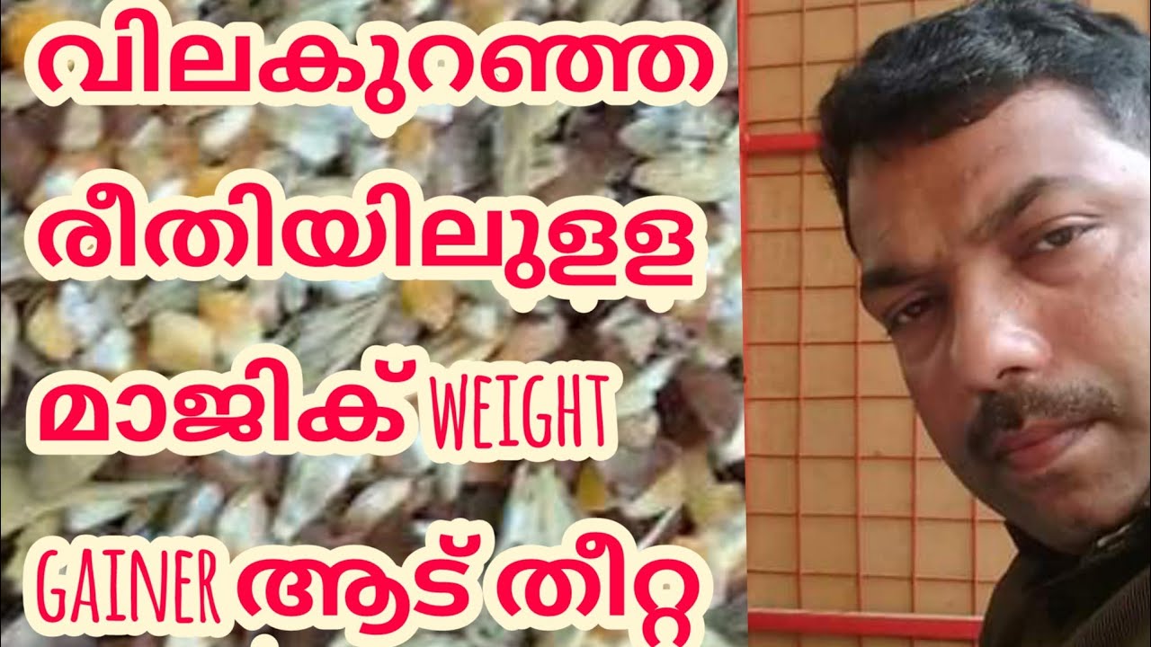 Less costly magic weight gainer feed for goats||വിലകുറഞ്ഞ രീതിയിലുളള മാജിക് ആട് തീറ്റ||M4 FarmTech