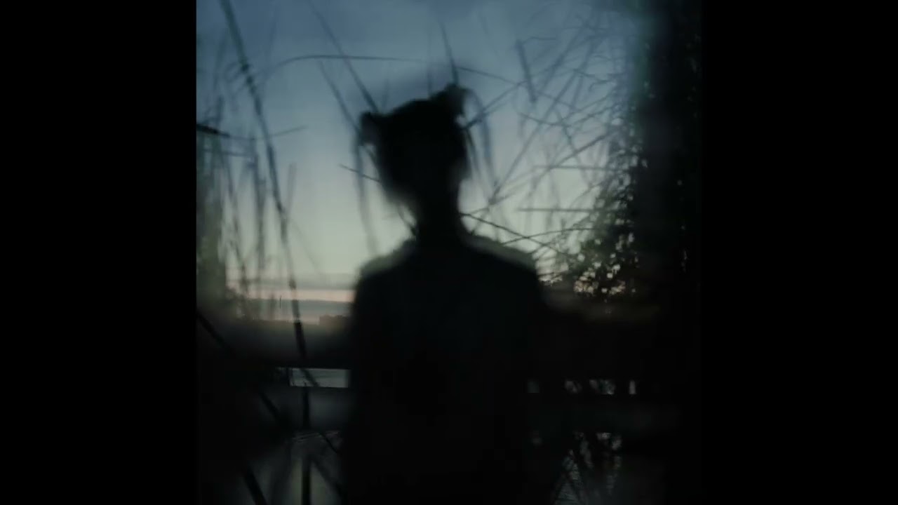 tedisaster - praf de stele (visualizer)