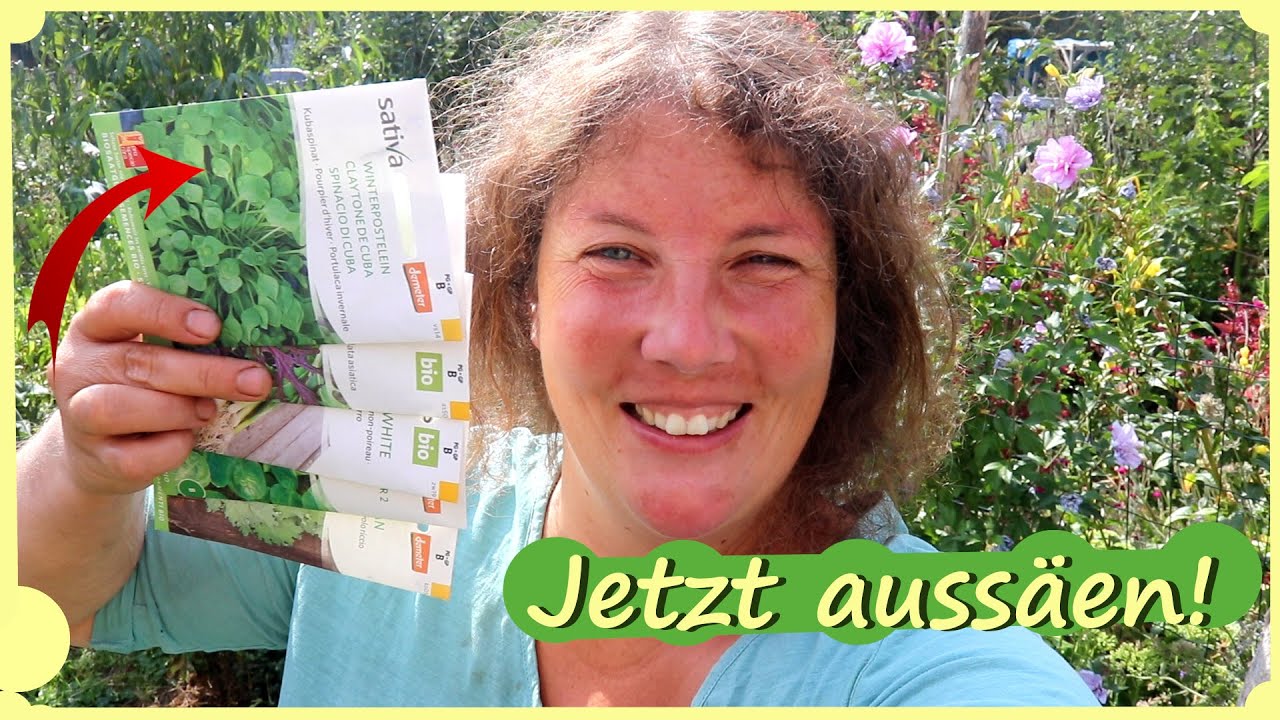 Aussaat August bis Oktober