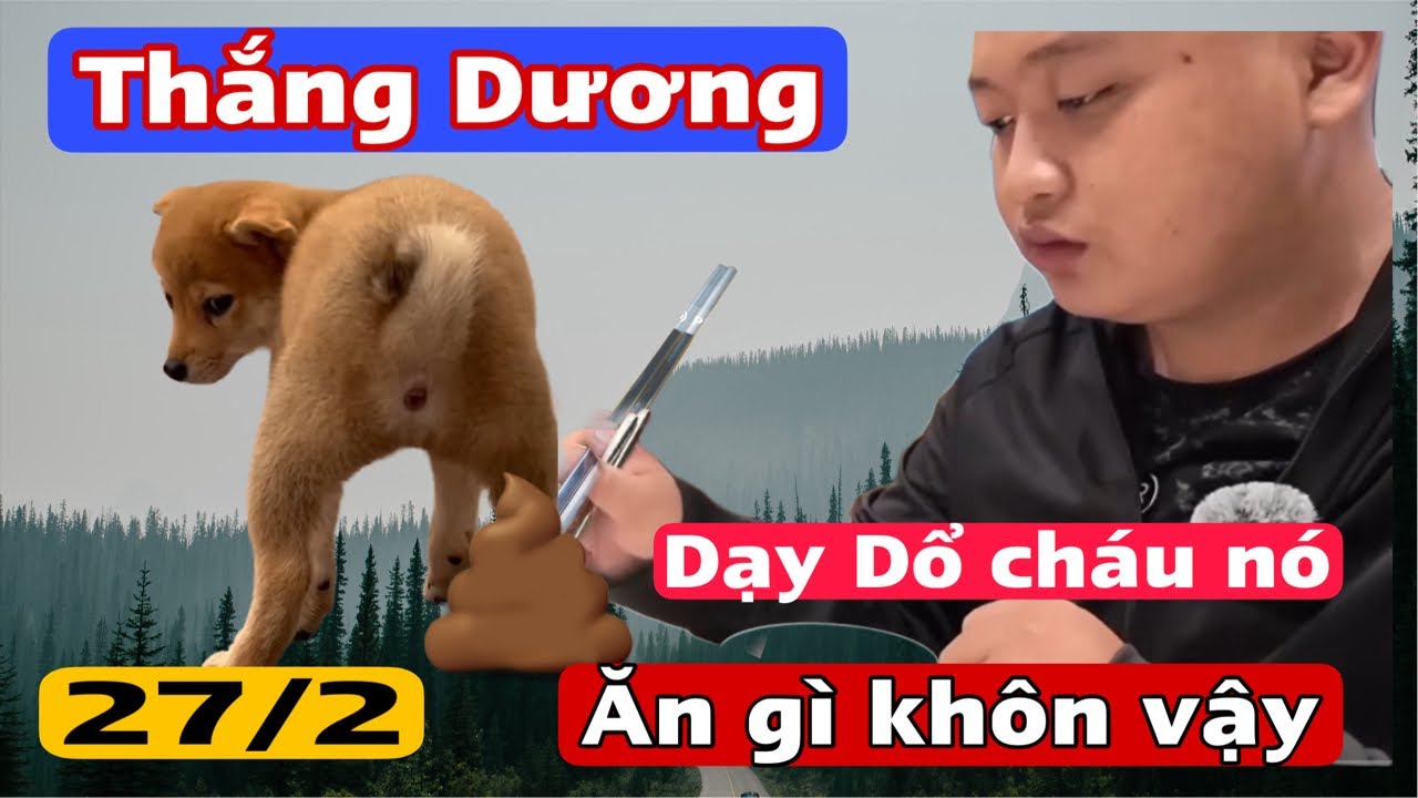 Dạy cháu Thắng Dương  không biết nhục .và kháng giả mù