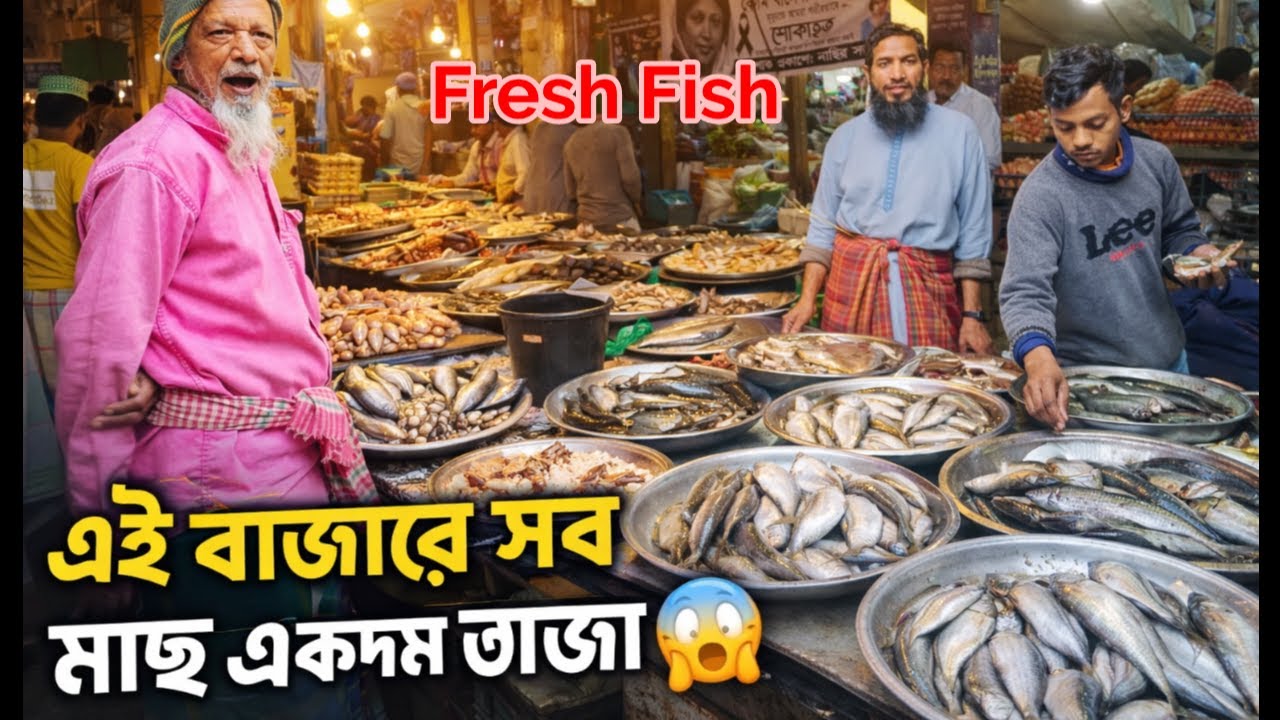 এত তাজা মাছ আগে দেখিনি😱 | Fresh Fish Market in Bangladesh 😱