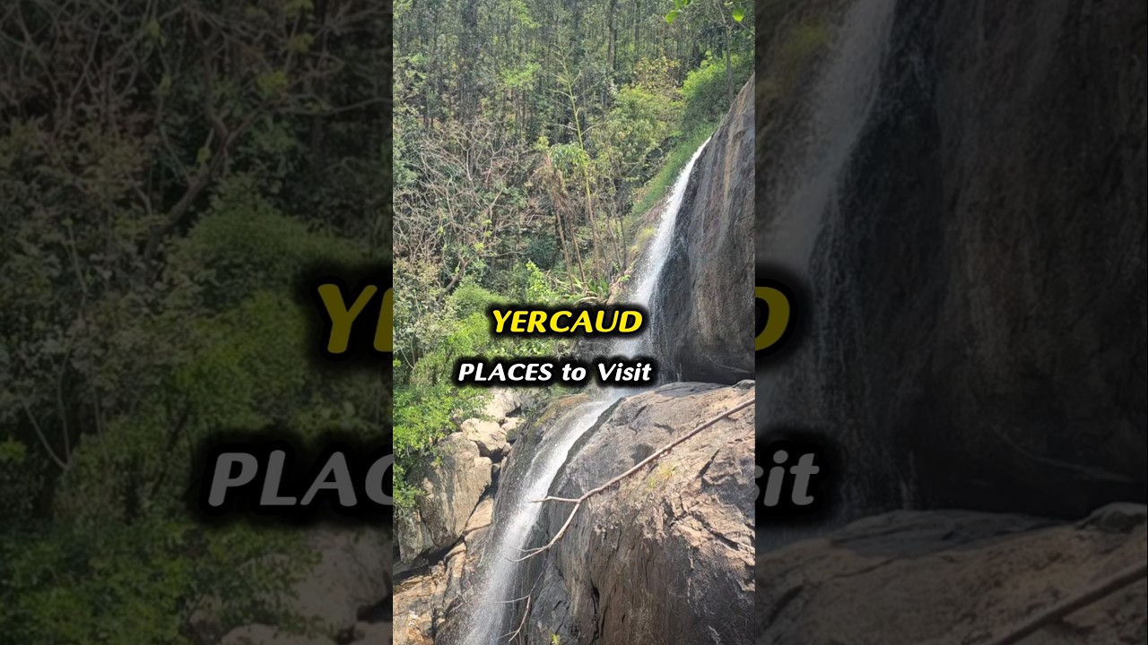 😍 ஏற்காடு சுற்றுலா | Must Visit Tourist Places in Yercaud | Boating, Falls, ViewPoints and Gardens 👌