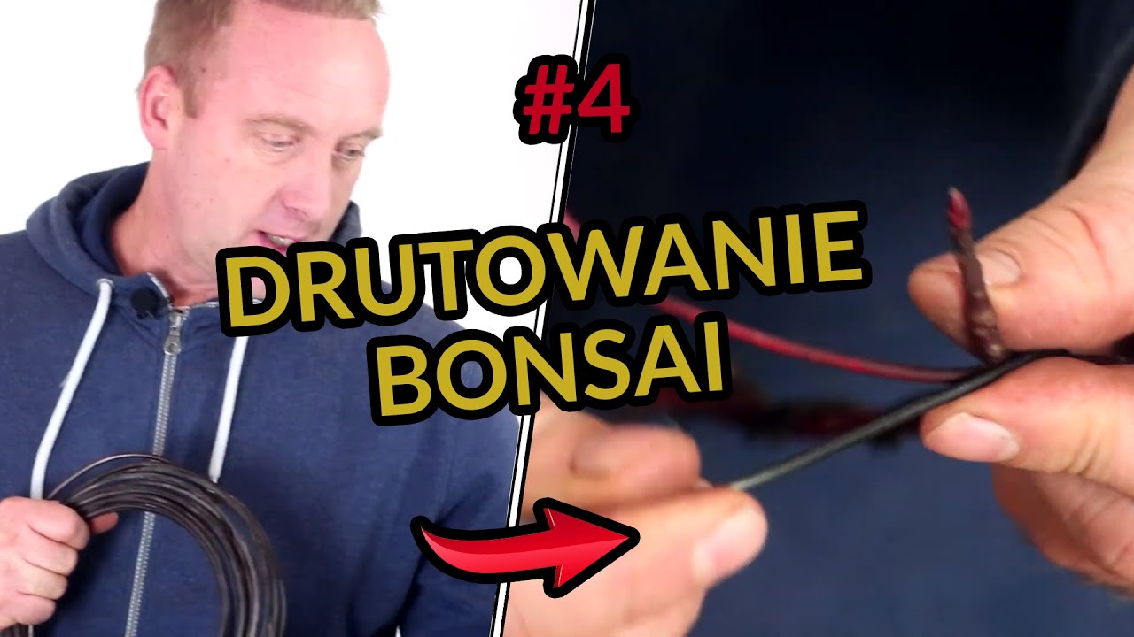 Jak DRUTOWAĆ drzewka BONSAI? Ibuki #4