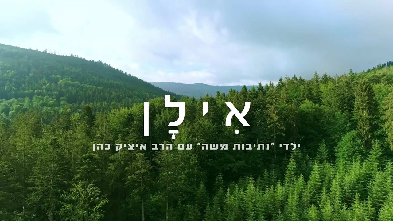 אילן / נתיבות משה Ilan - tu bishvat
