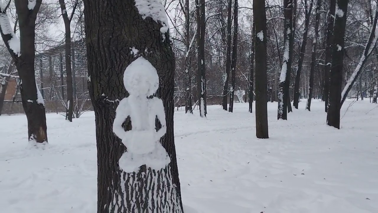В январе гуляем в парке 