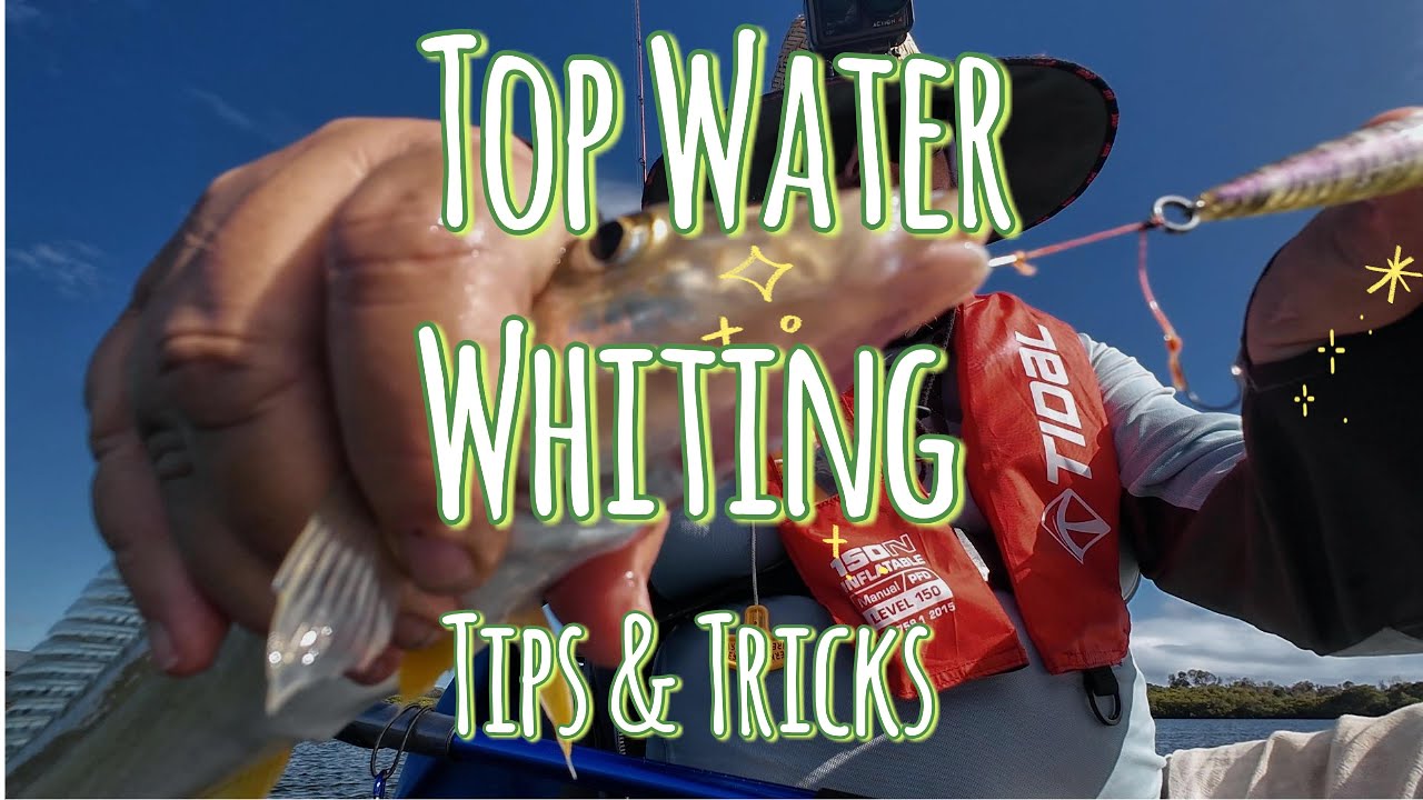 How to Catch Whiting on Poppers - Tips and Tricks