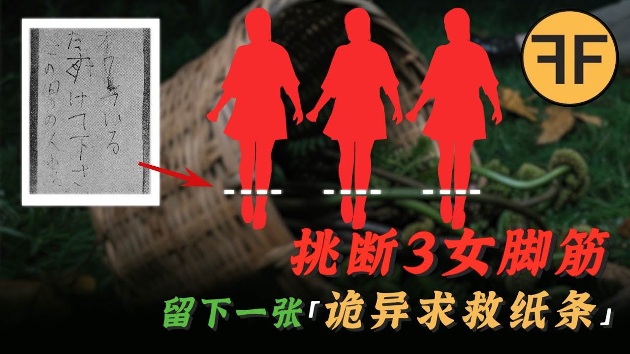 日本懸案｜3名女子採蕨菜詭異失踪，留下一張「詭異字條」