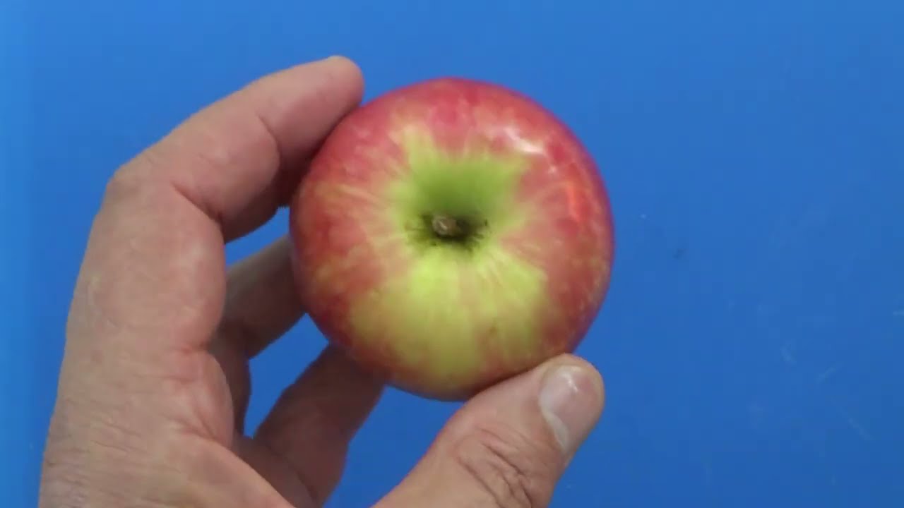 ASMR - Pink Lady Apple - Australian Accent - Discussing in a Quiet Whisper - Plus Cutting & Eating