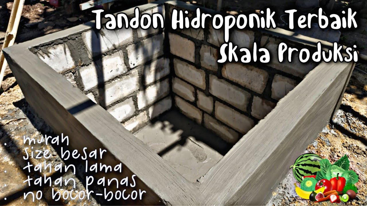 TANDON terbaik untuk berhidroponik skala produksi (Timelapse)