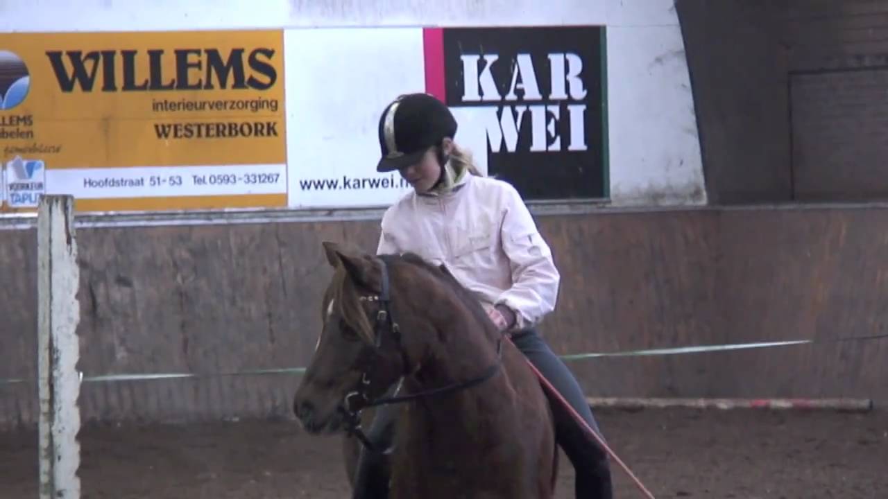 Prinses Margriet Manege demonstratie Natural Horsemanship december 2010