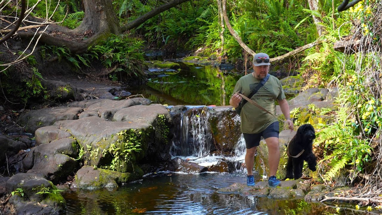 There's A Waterfall In Florida?