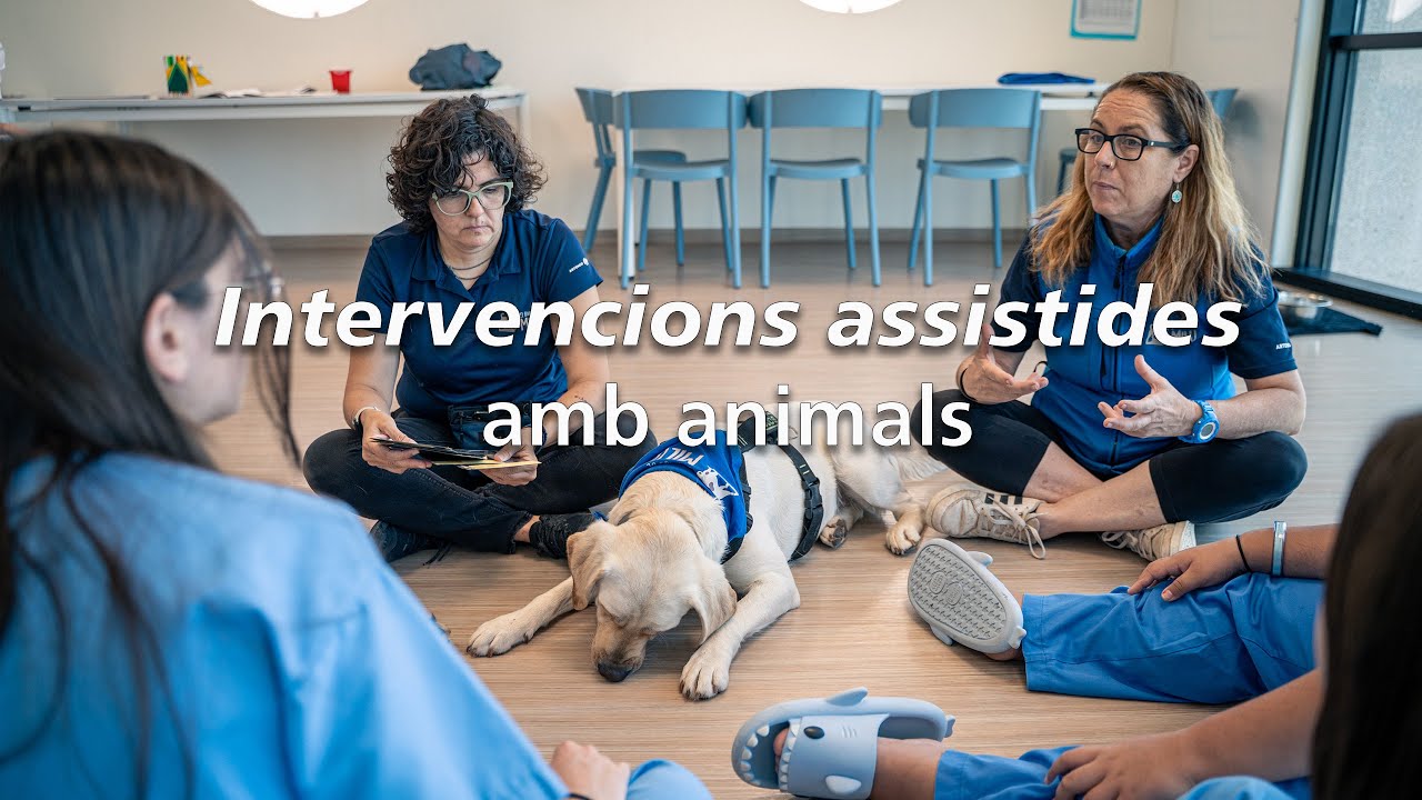 Intervencions assistides amb animals