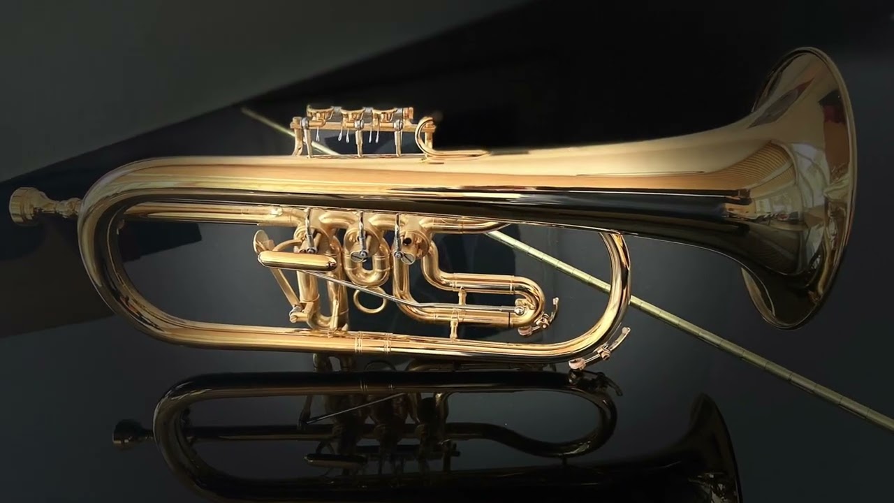 Dowids Anton Ludwig Wilhalm Bozenbrass