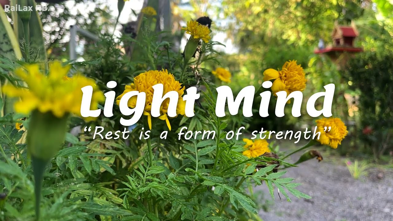 Calm Nature + Relaxing Music for deep sleep, working, studying, meditating🍃