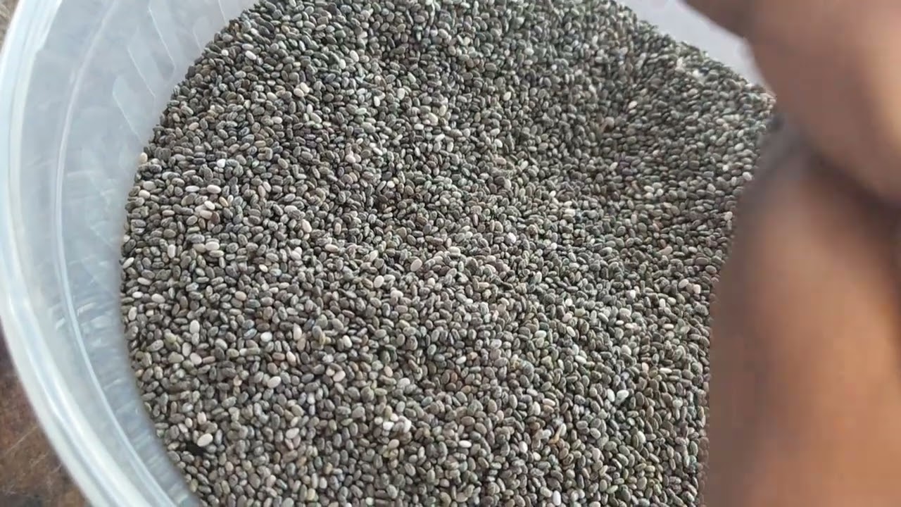 చియా సీడ్స ని ఇలా తినకూడదు friends 