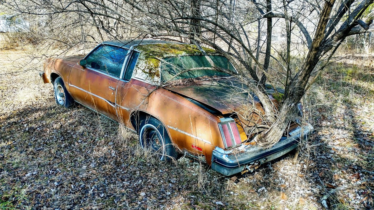 1978 Cutlass Abandoned for 23 Years, Rescue, First Start, and Test Drive