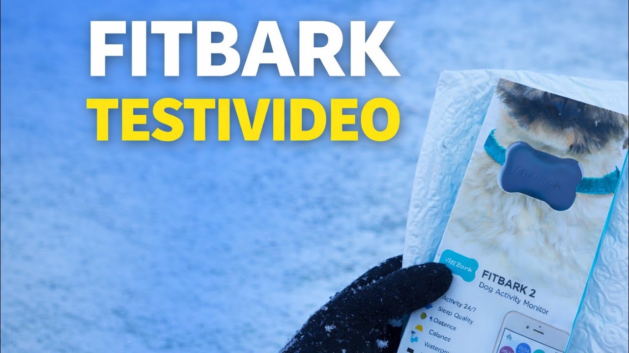 Fitbark 2 #fitbark #koiranhyvinvointi 