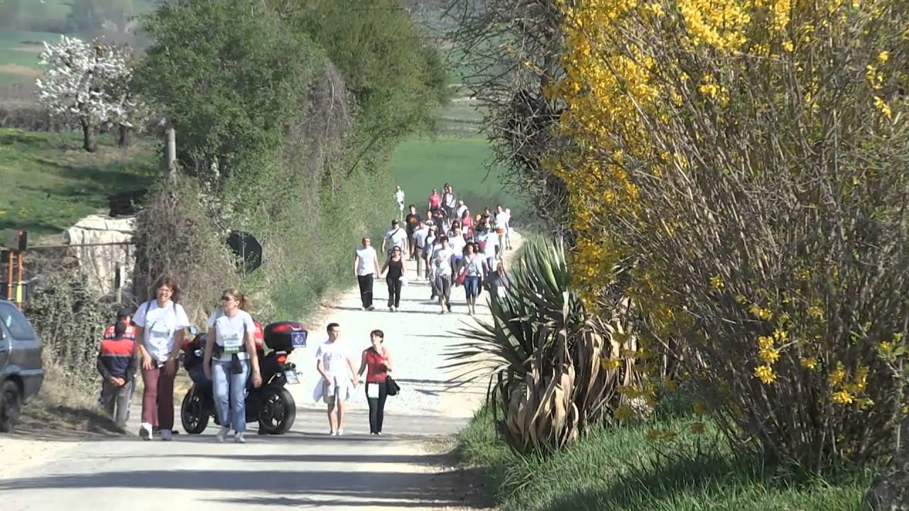 31° Camminata Gastronomica tra i Ciliegi in Fiore-Pecetto Torinese