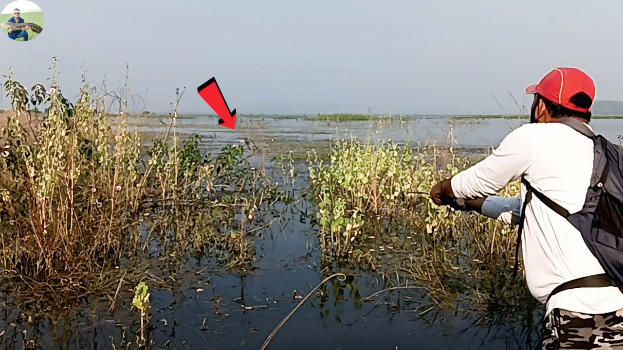 Snakehaed Murrel Fish Attack! 🎣 Back To Back Catch in River 😱😱