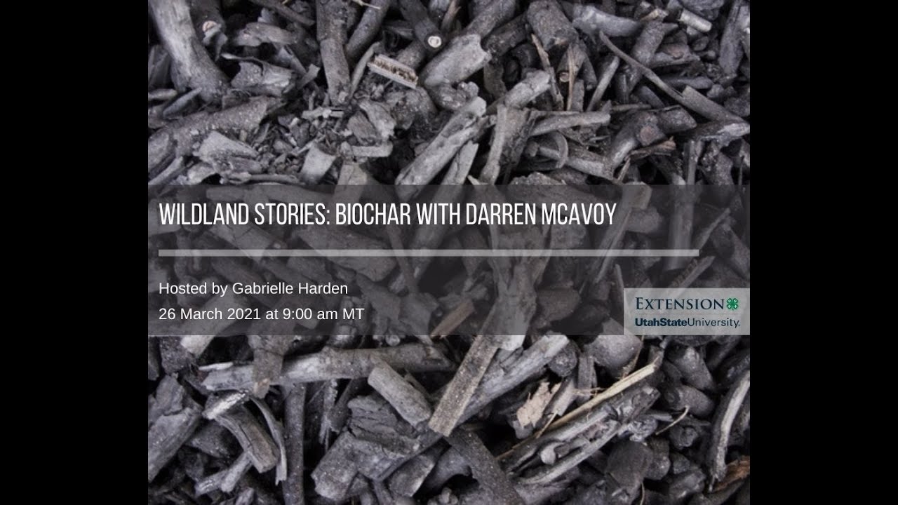 Wildland Stories: Biochar with Darren McAvoy hosted by Gabrielle Harden