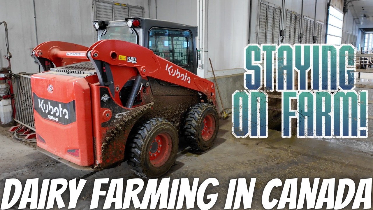 Мы купили демонстрационный образец Kubota SSV65!