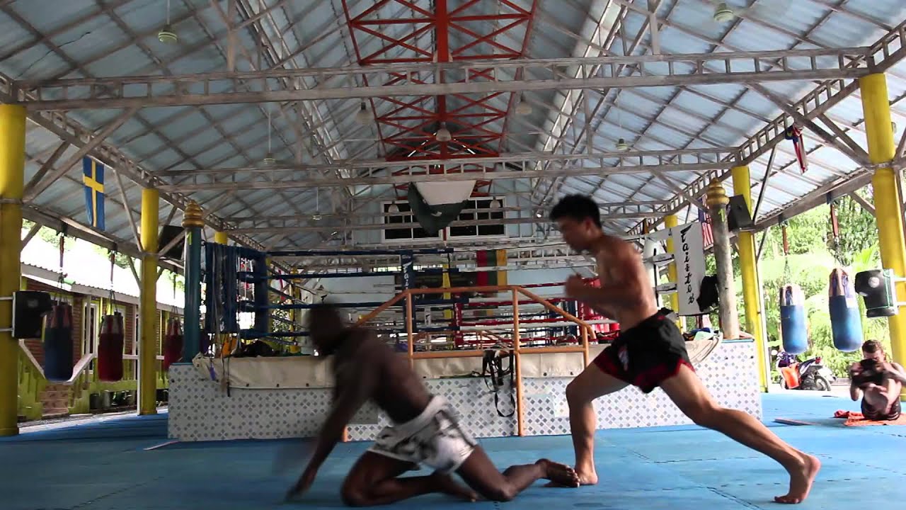 Umar: The Muay Thai Warrior Beast