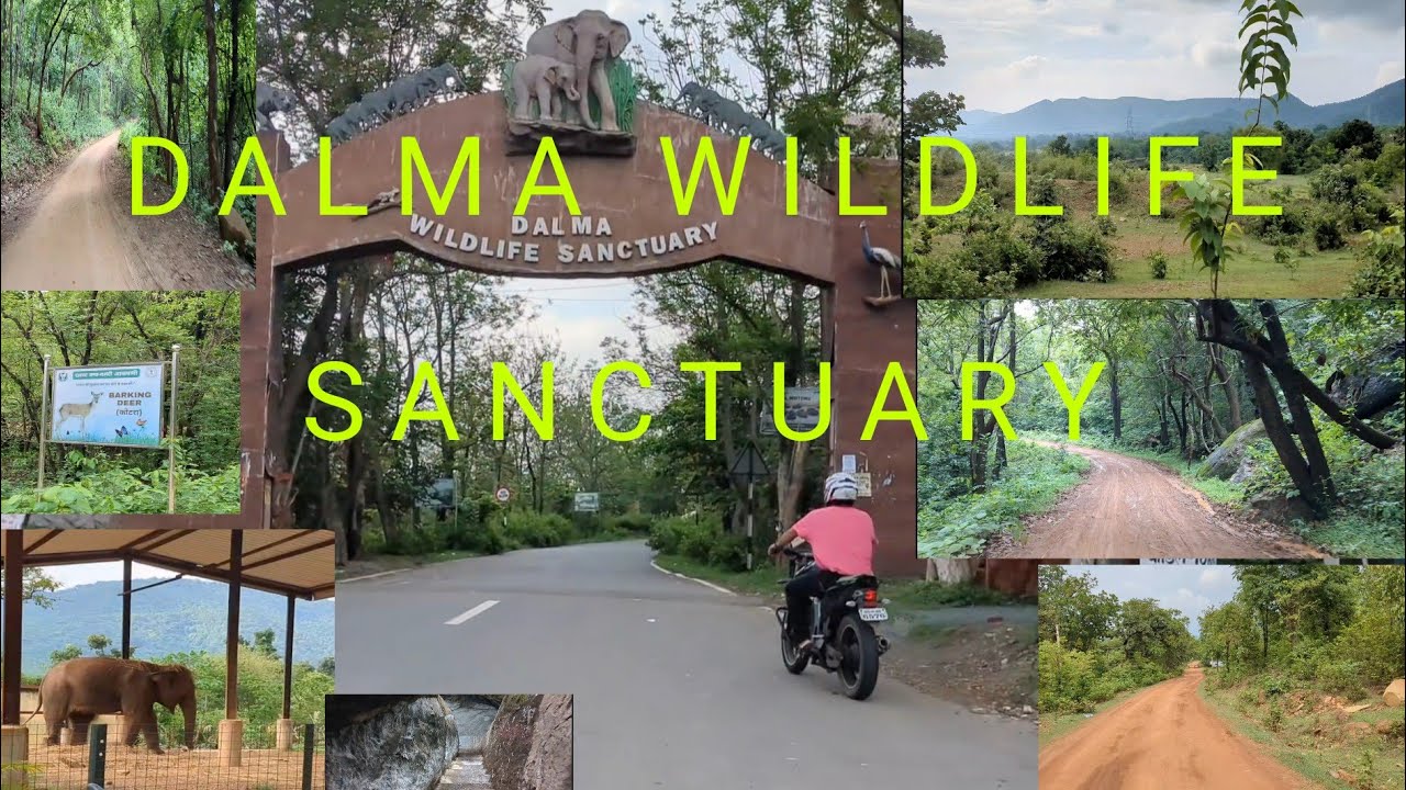 Bike Trekking and Exploration at Dalma Wildlife Sanctuary | Jharkhand Travel Diaries