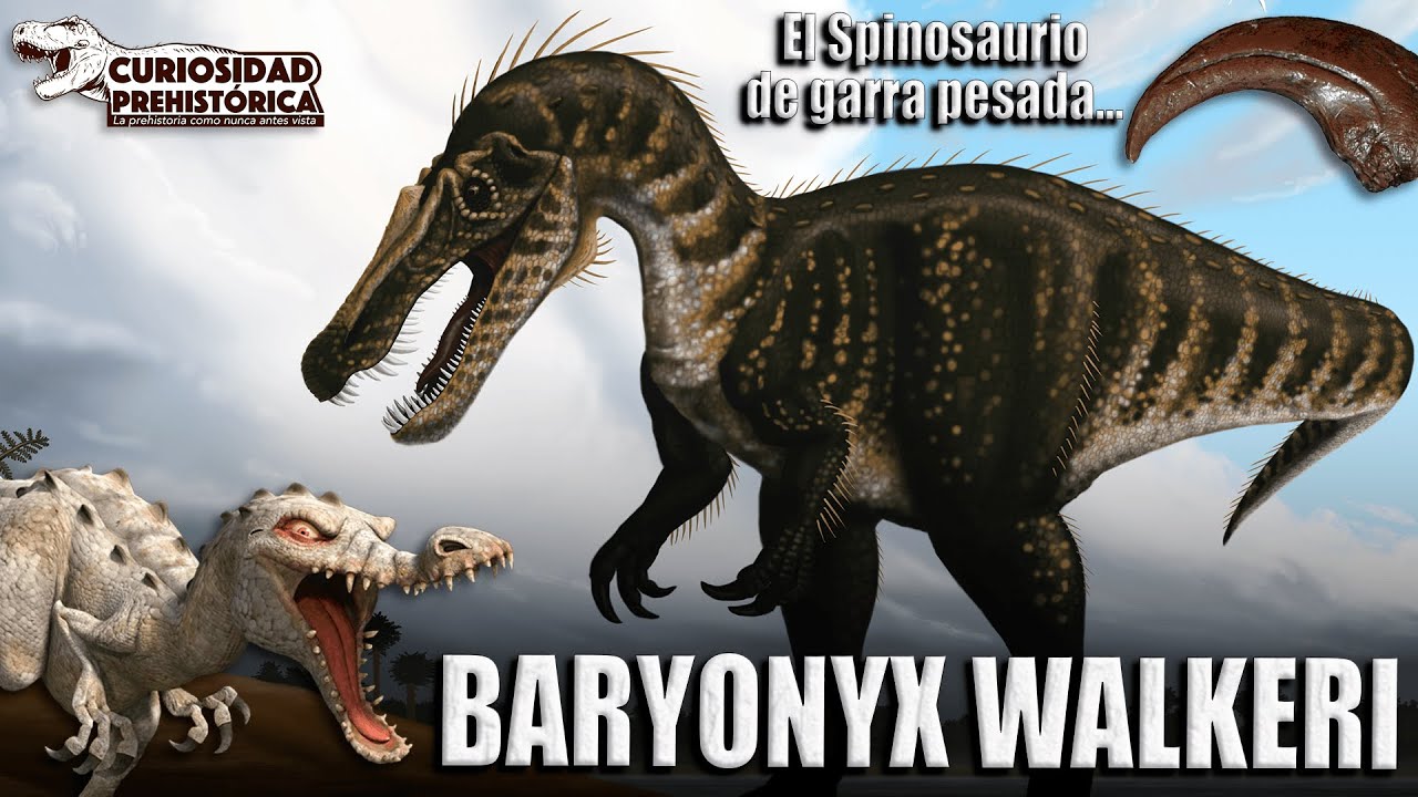 El Spinosaurio de garra pesada - BARYONYX