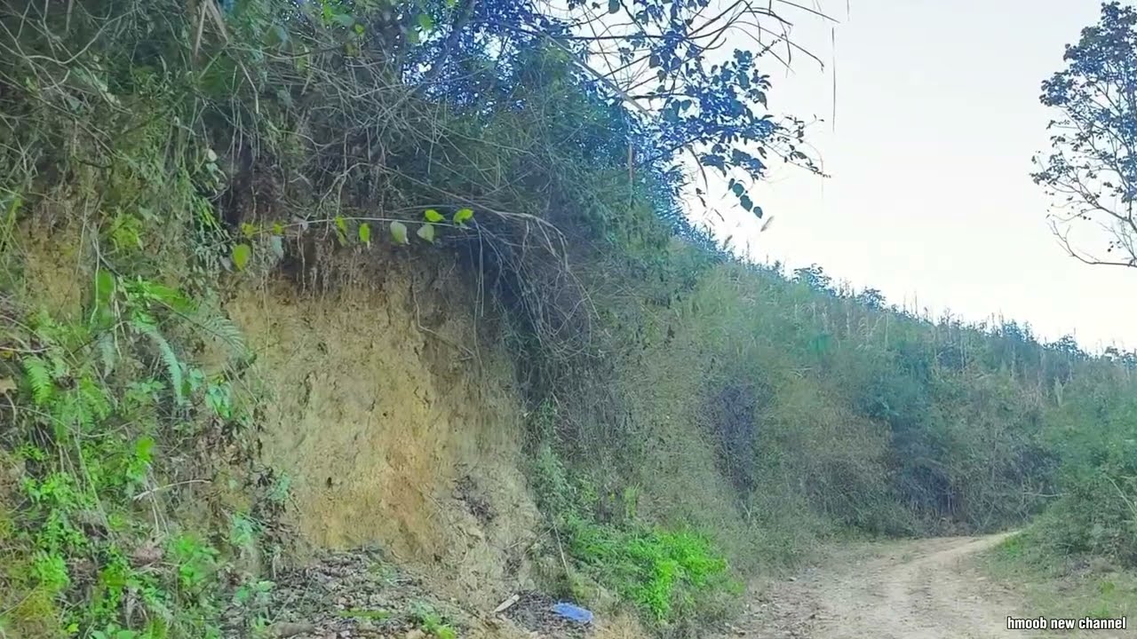 Vaj ua tub rog raug tub rog vaj pov ntes ro qab dim los 1970