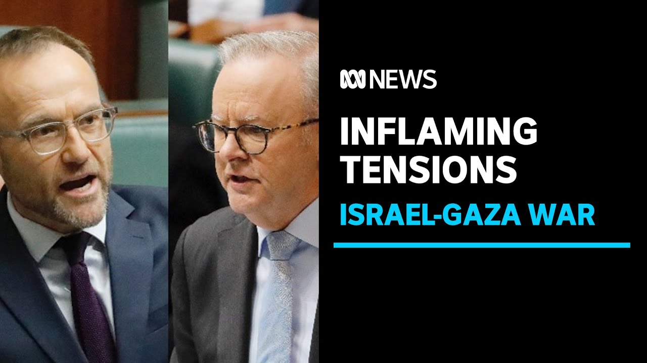 Bipartisan condemnation of Greens' involvement in pro-Palestinian protests | ABC News