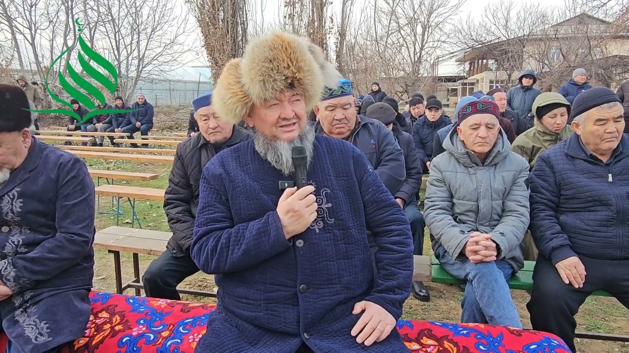 Қабір басына ағаш егуге бола ма?