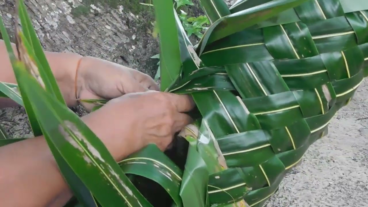 Kosrae: Pisinkacp